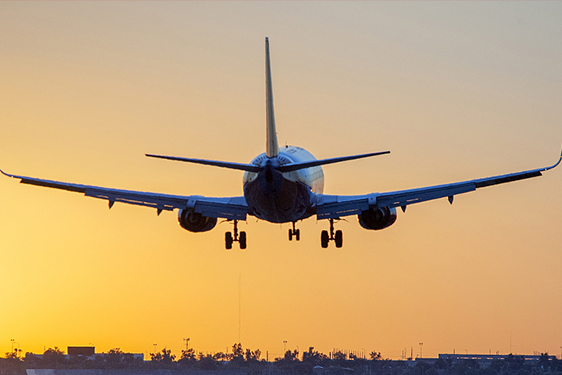空運(yùn)、海運(yùn)、專線